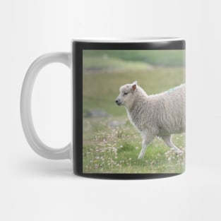 Shetland lamb Mug